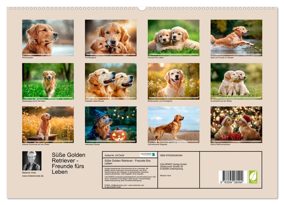 Süße Golden Retriever - Freunde fürs Leben (CALVENDO Premium Wandkalender 2027)