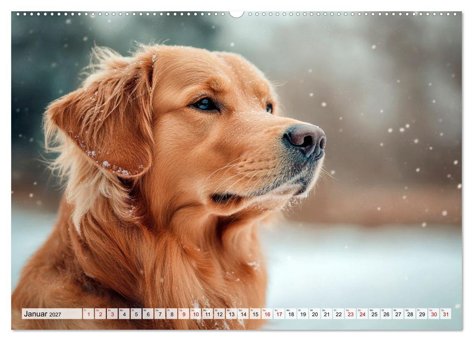 Süße Golden Retriever - Freunde fürs Leben (CALVENDO Premium Wandkalender 2027)