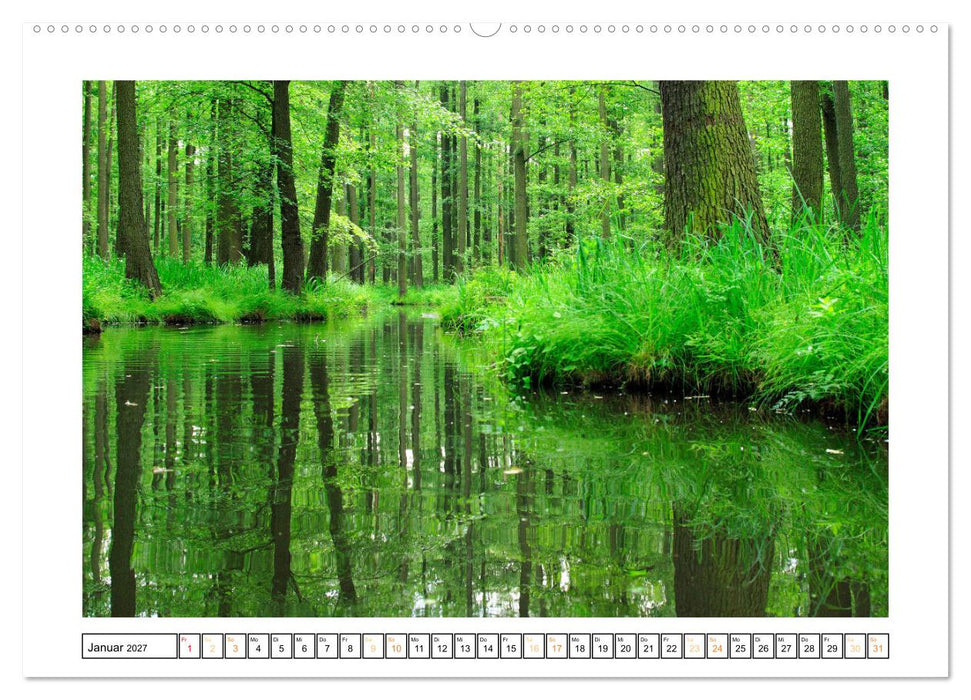 Spreewald Natur und Kulturlandschaft (CALVENDO Premium Wandkalender 2027)