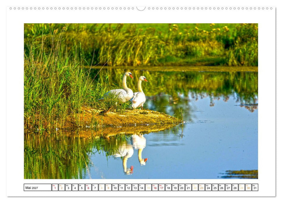 Spreewald Natur und Kulturlandschaft (CALVENDO Premium Wandkalender 2027)