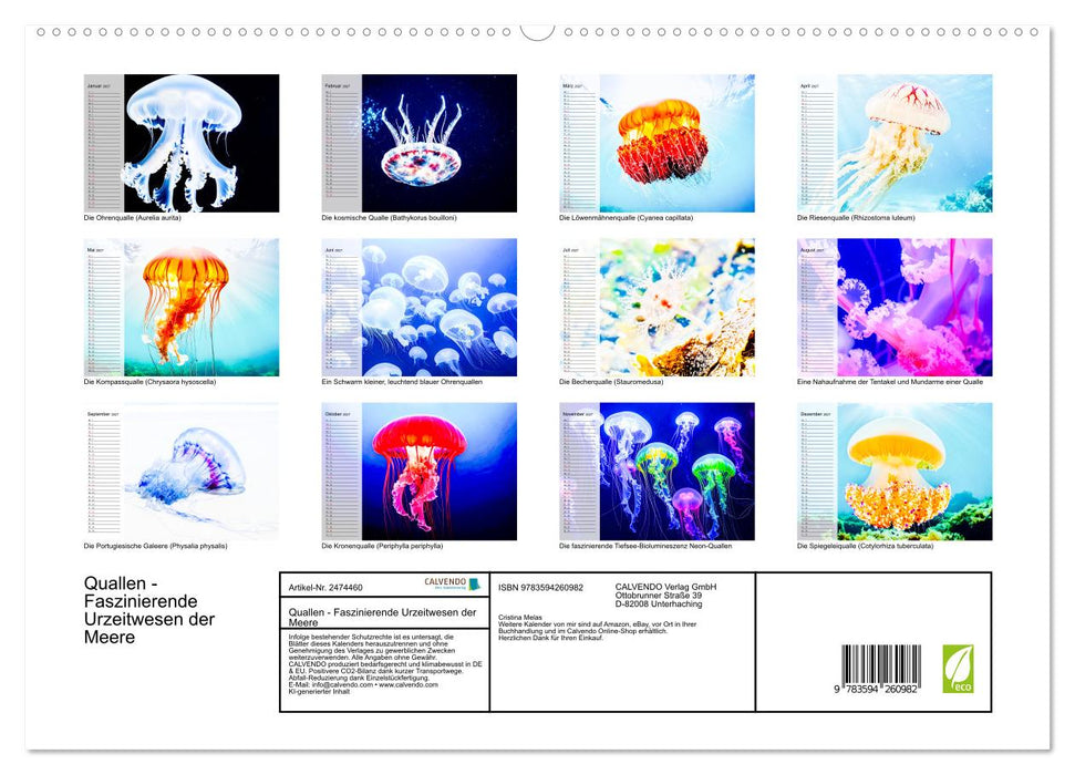 Quallen - Faszinierende Urzeitwesen der Meere (CALVENDO Premium Wandkalender 2027)