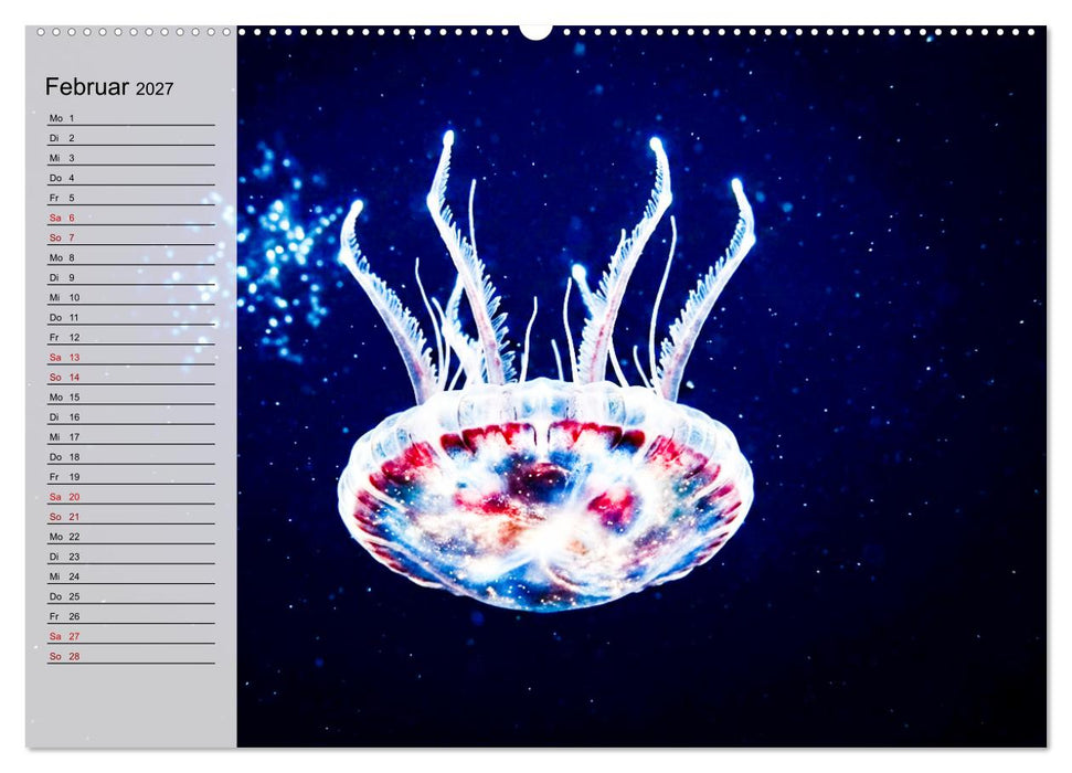 Quallen - Faszinierende Urzeitwesen der Meere (CALVENDO Premium Wandkalender 2027)