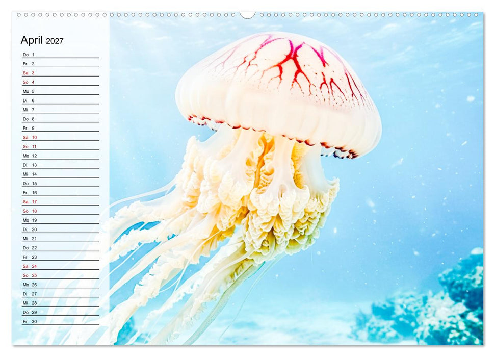 Quallen - Faszinierende Urzeitwesen der Meere (CALVENDO Premium Wandkalender 2027)