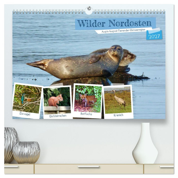 Wilder Nordosten - Aug in Aug mit Tieren der Ostseeregion (CALVENDO Premium Wandkalender 2027)