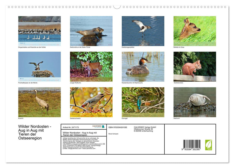 Wilder Nordosten - Aug in Aug mit Tieren der Ostseeregion (CALVENDO Premium Wandkalender 2027)