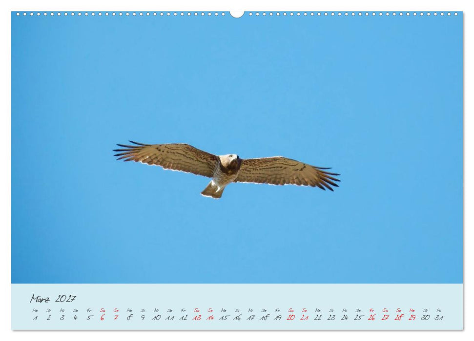 Wildes Südfrankreich (CALVENDO Premium Wandkalender 2027)