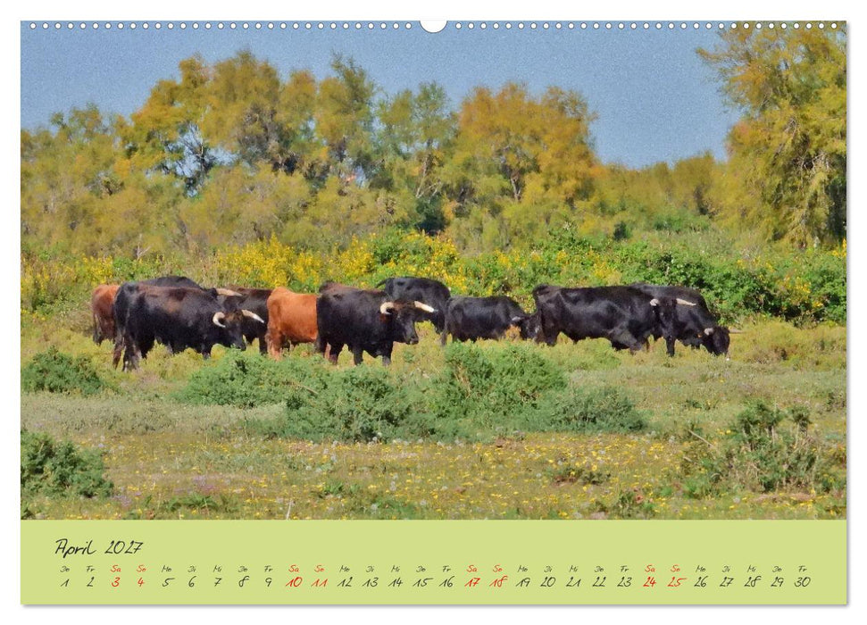Wildes Südfrankreich (CALVENDO Premium Wandkalender 2027)