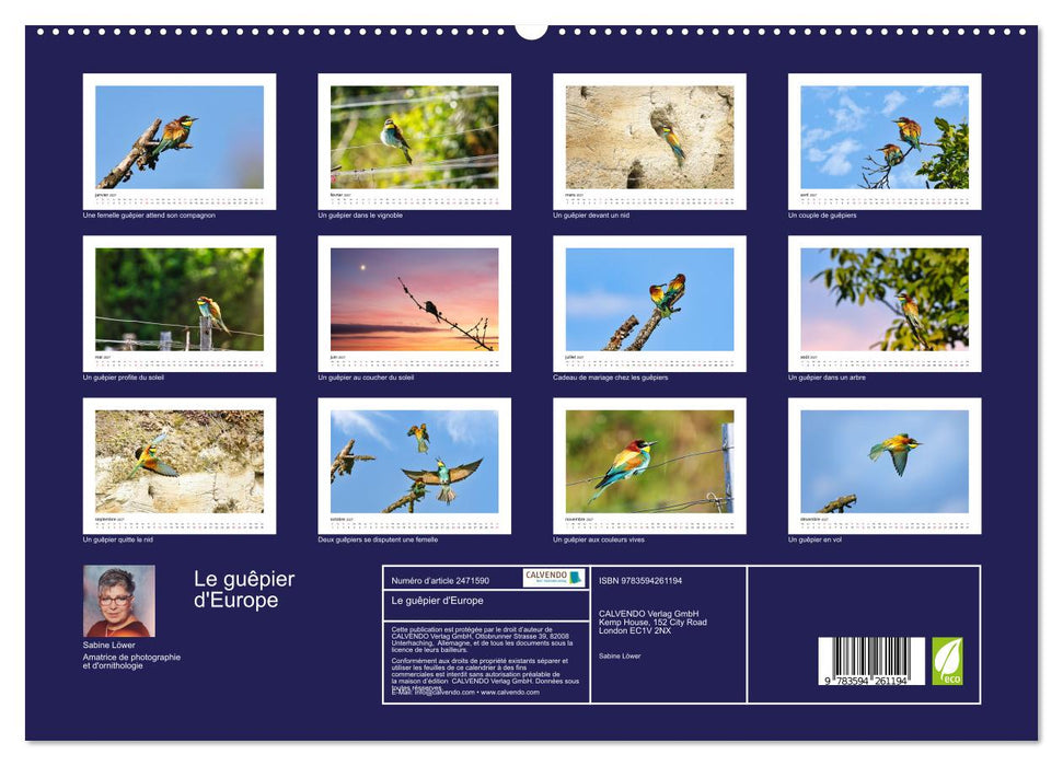 Le guêpier d'Europe (CALVENDO Calendrier supérieur 2027)