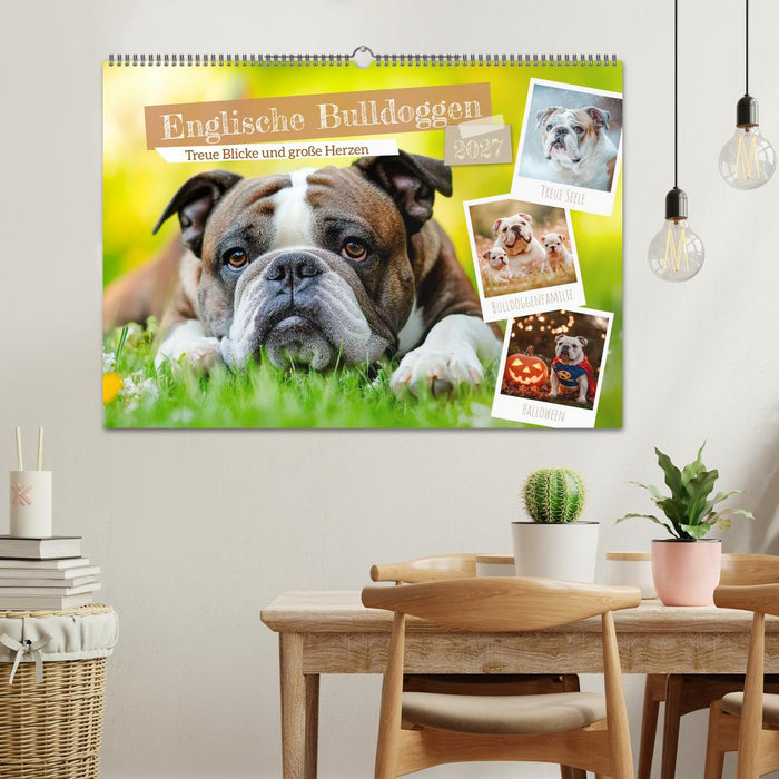 Englische Bulldoggen - Treue Blicke und große Herzen (CALVENDO Wandkalender 2027)