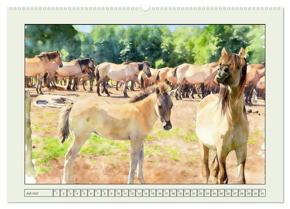 Sightseeing im Kreis Coesfeld (CALVENDO Premium Wandkalender 2027)