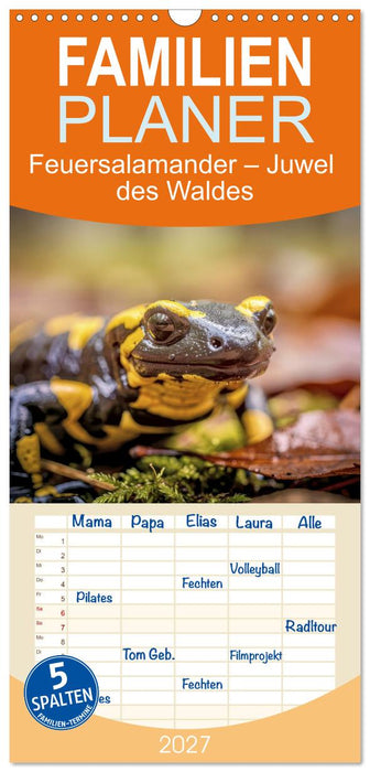 Feuersalamander – Juwel des Waldes (CALVENDO Familienplaner 2027)
