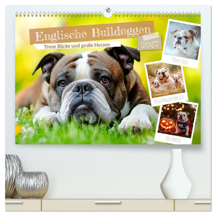 Englische Bulldoggen - Treue Blicke und große Herzen (CALVENDO Premium Wandkalender 2027)