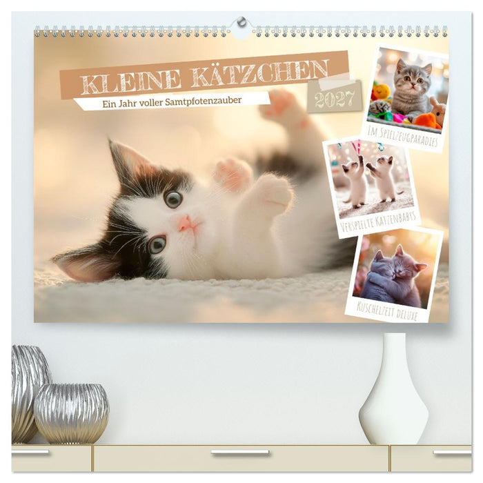 Kleine Kätzchen - Ein Jahr voller Samtpfotenzauber (CALVENDO Premium Wandkalender 2027)