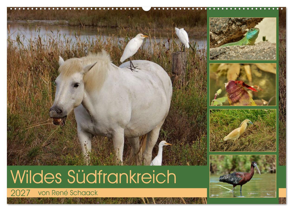 Wildes Südfrankreich (CALVENDO Wandkalender 2027)