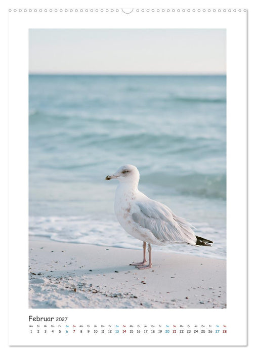 Meerespoesie (CALVENDO Premium Wandkalender 2027)