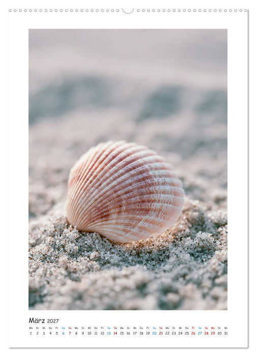 Meerespoesie (CALVENDO Premium Wandkalender 2027)