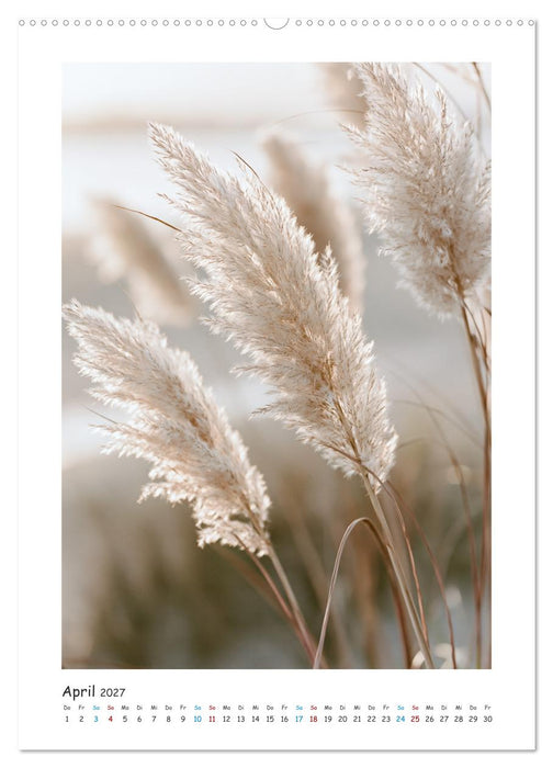 Meerespoesie (CALVENDO Premium Wandkalender 2027)