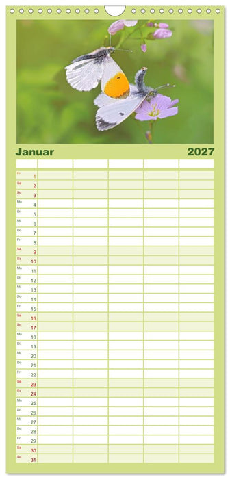 Frühlingsboten Aurorafalter (CALVENDO Familienplaner 2027)