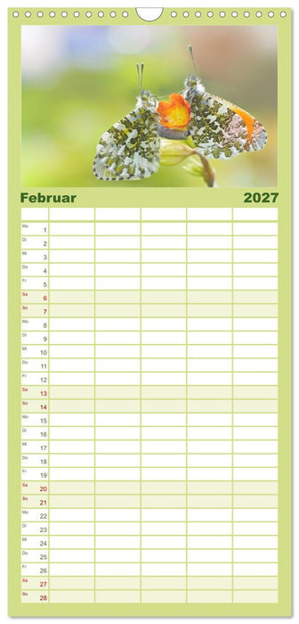 Frühlingsboten Aurorafalter (CALVENDO Familienplaner 2027)