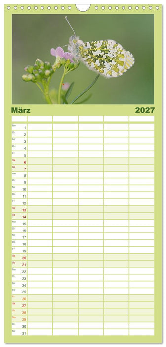 Frühlingsboten Aurorafalter (CALVENDO Familienplaner 2027)