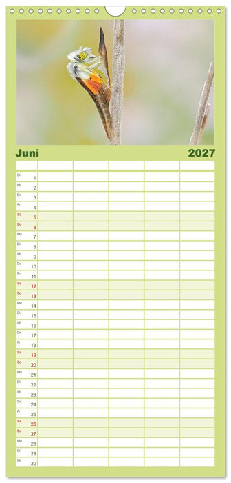 Frühlingsboten Aurorafalter (CALVENDO Familienplaner 2027)