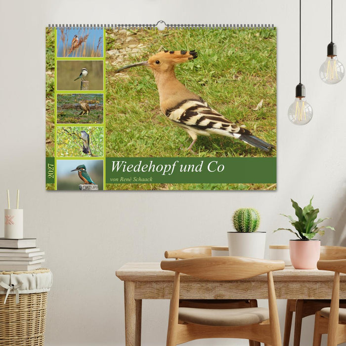 Wiedehopf und Co - von René Schaack (CALVENDO Wandkalender 2027)