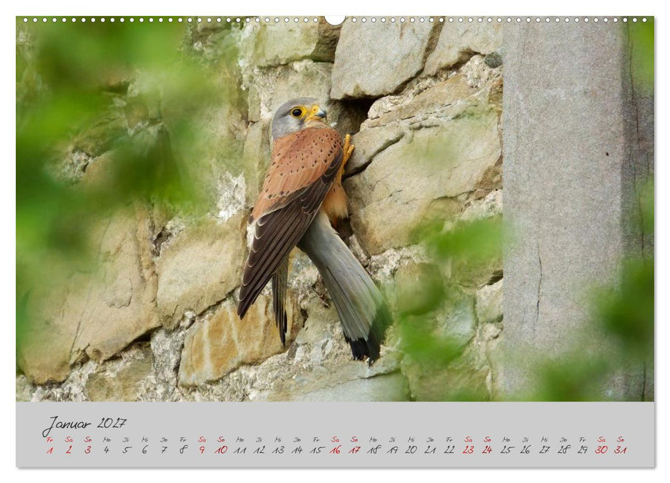 Wilde Toskana - von René Schaack (CALVENDO Wandkalender 2027)