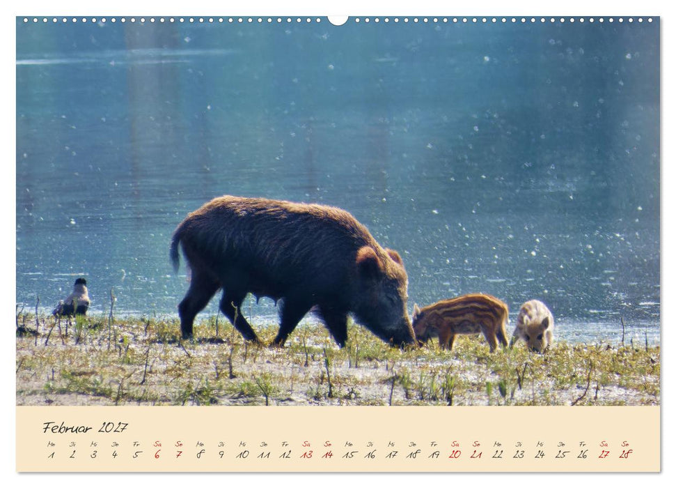Wilde Toskana - von René Schaack (CALVENDO Wandkalender 2027)