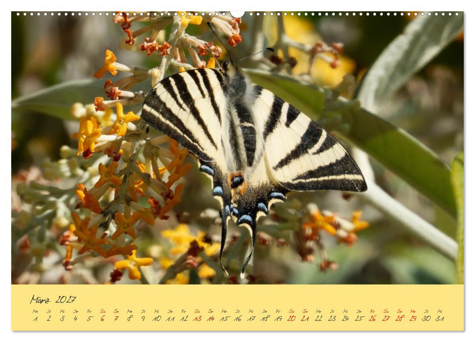 Wilde Toskana - von René Schaack (CALVENDO Wandkalender 2027)