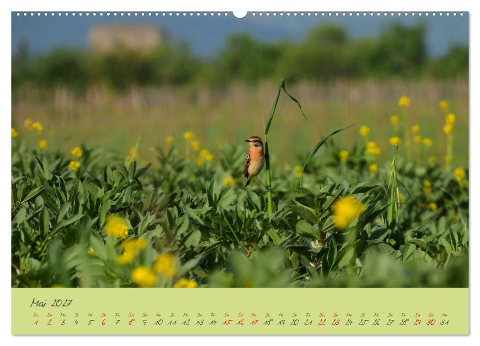 Wilde Toskana - von René Schaack (CALVENDO Wandkalender 2027)