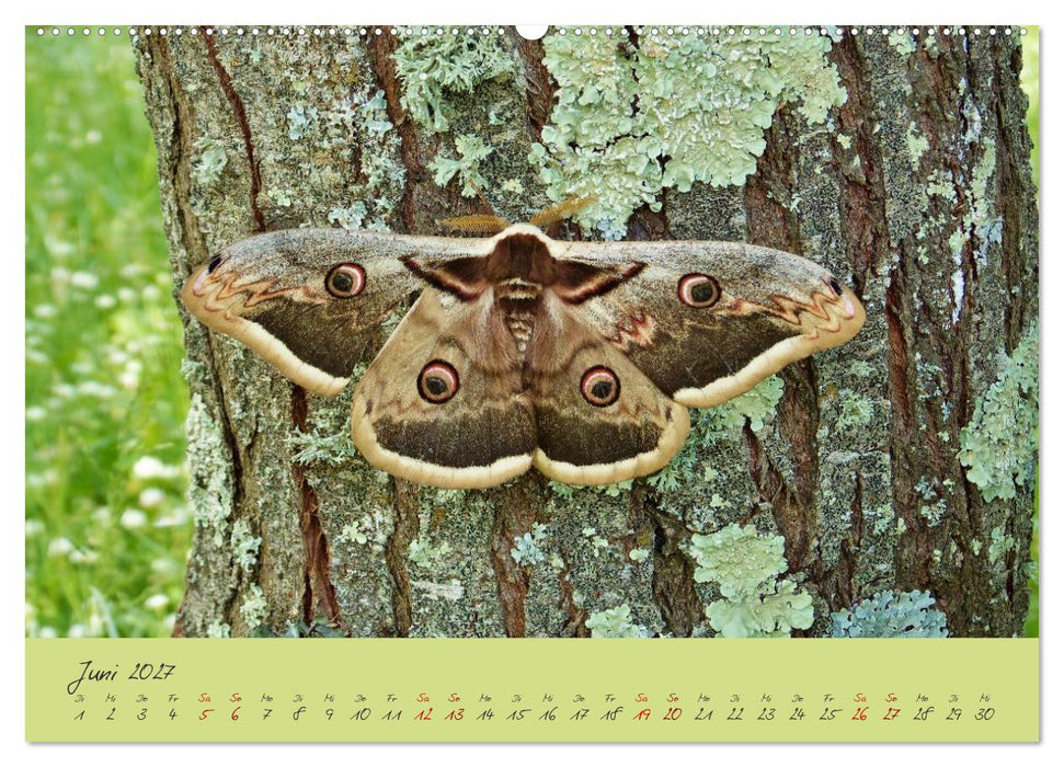 Wilde Toskana - von René Schaack (CALVENDO Wandkalender 2027)