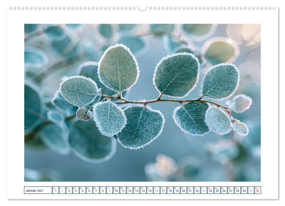 Fernweh in Pastell (CALVENDO Premium Wandkalender 2027)