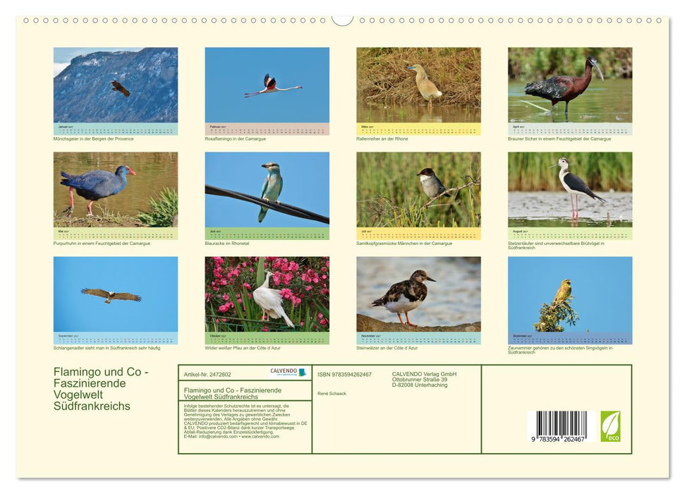 Flamingo und Co - Faszinierende Vogelwelt Südfrankreichs (CALVENDO Premium Wandkalender 2027)