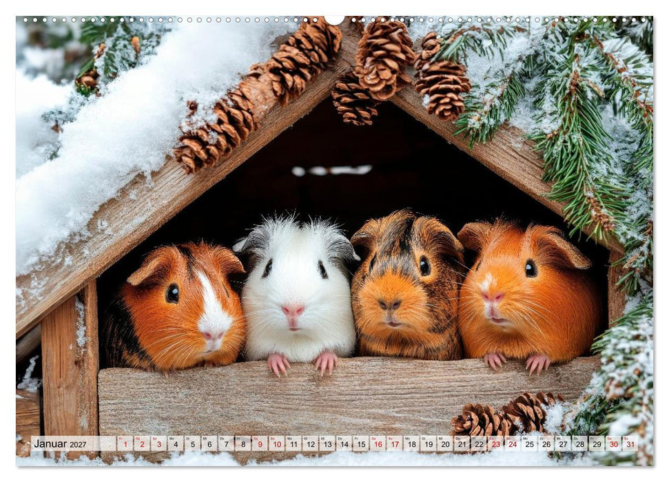 Meerschweinchen - Flauschige Freunde fürs Herz (CALVENDO Premium Wandkalender 2027)