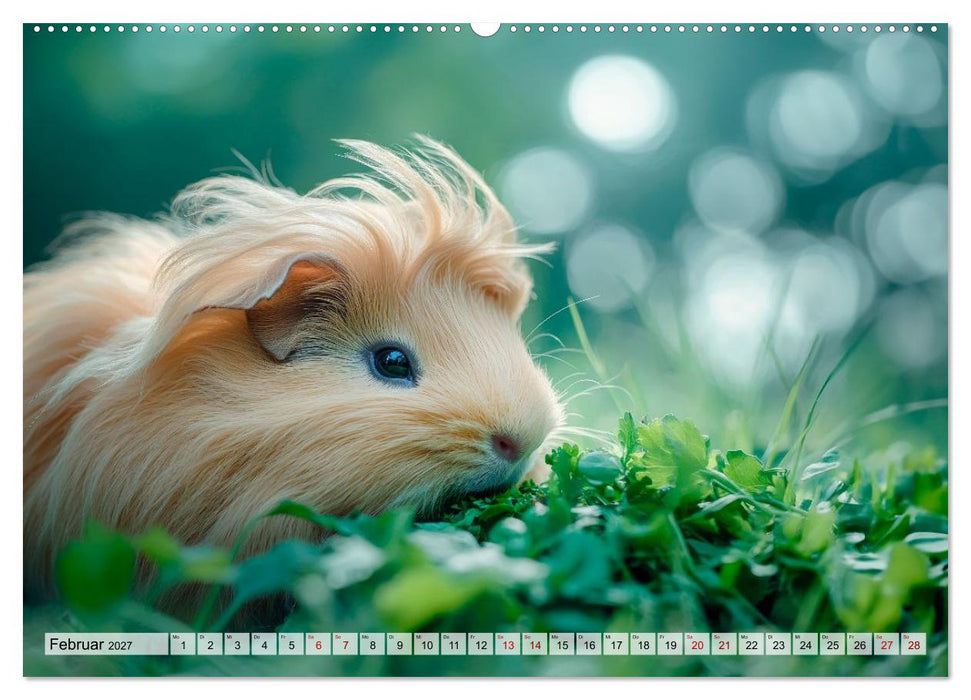 Meerschweinchen - Flauschige Freunde fürs Herz (CALVENDO Premium Wandkalender 2027)