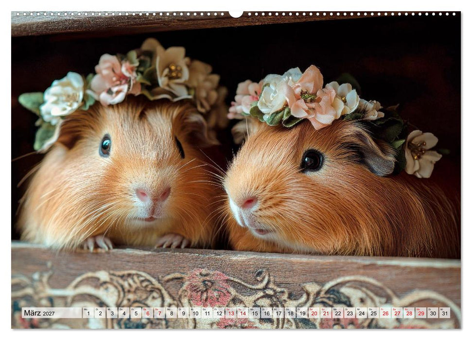 Meerschweinchen - Flauschige Freunde fürs Herz (CALVENDO Premium Wandkalender 2027)