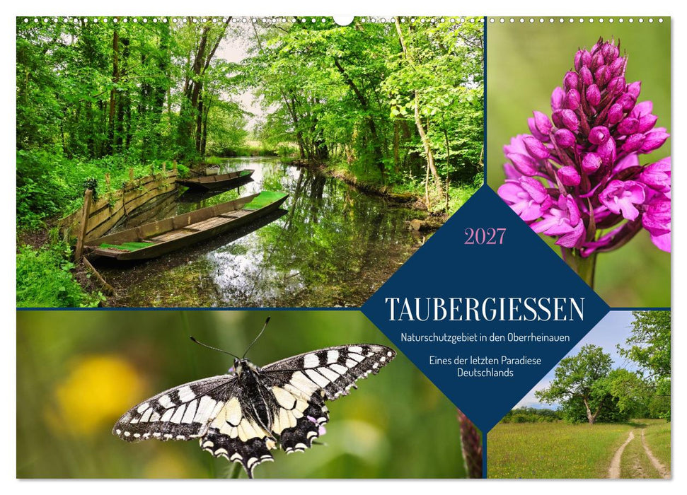 Taubergießen (CALVENDO Wandkalender 2027)