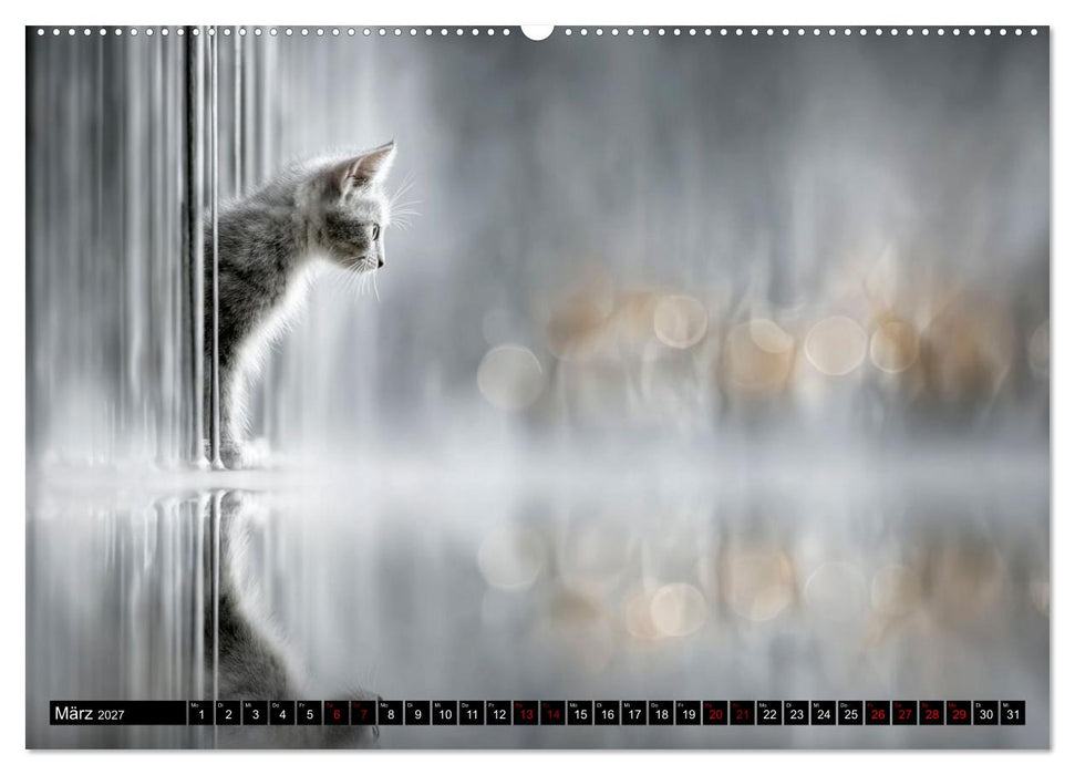Tiere aus Traum und Zeit (CALVENDO Wandkalender 2027)