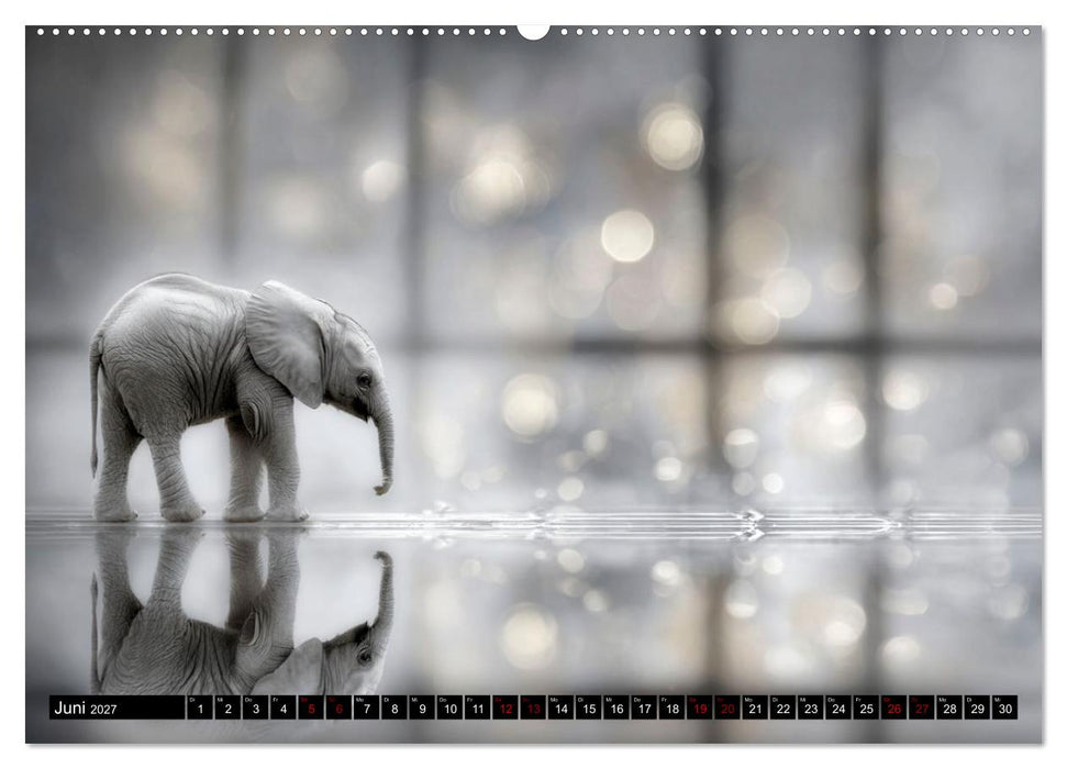 Tiere aus Traum und Zeit (CALVENDO Wandkalender 2027)