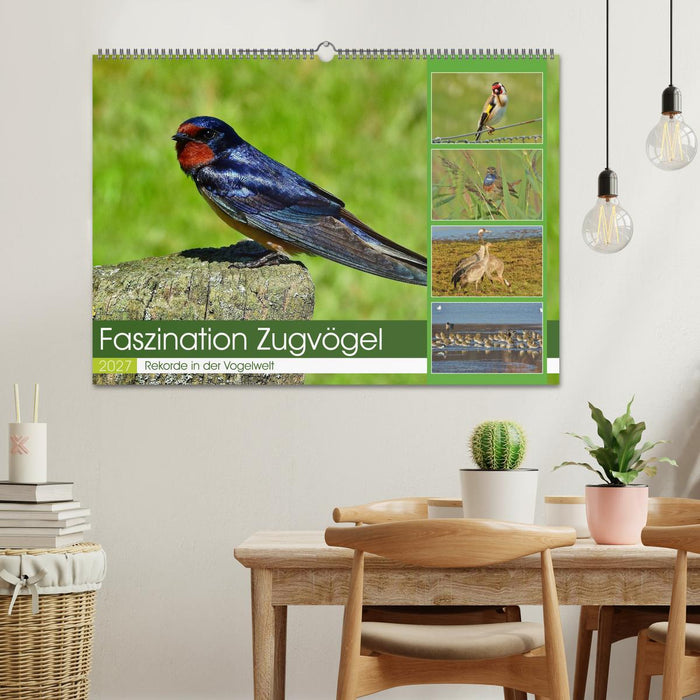 Faszination Zugvögel - Rekorde in der Vogelwelt (CALVENDO Wandkalender 2027)
