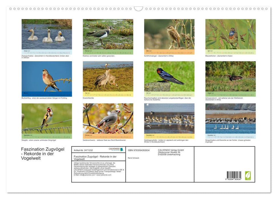 Faszination Zugvögel - Rekorde in der Vogelwelt (CALVENDO Wandkalender 2027)