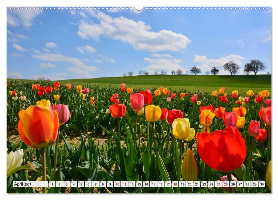 Zeit zum Atmen - im Einklang mit der Natur (CALVENDO Premium Wandkalender 2027)