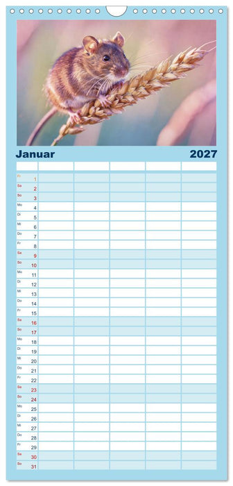 Zwischen den Feldern (CALVENDO Familienplaner 2027)