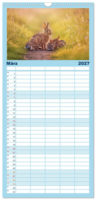 Zwischen den Feldern (CALVENDO Familienplaner 2027)