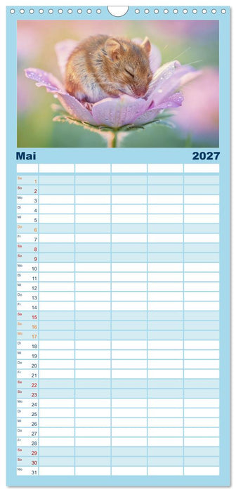 Zwischen den Feldern (CALVENDO Familienplaner 2027)