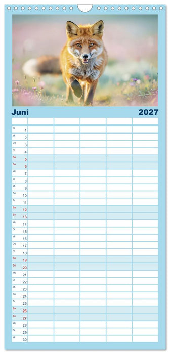 Zwischen den Feldern (CALVENDO Familienplaner 2027)