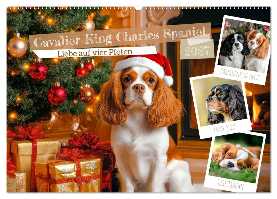 Cavalier King Charles Spaniel - Liebe auf vier Pfoten (CALVENDO Wandkalender 2027)
