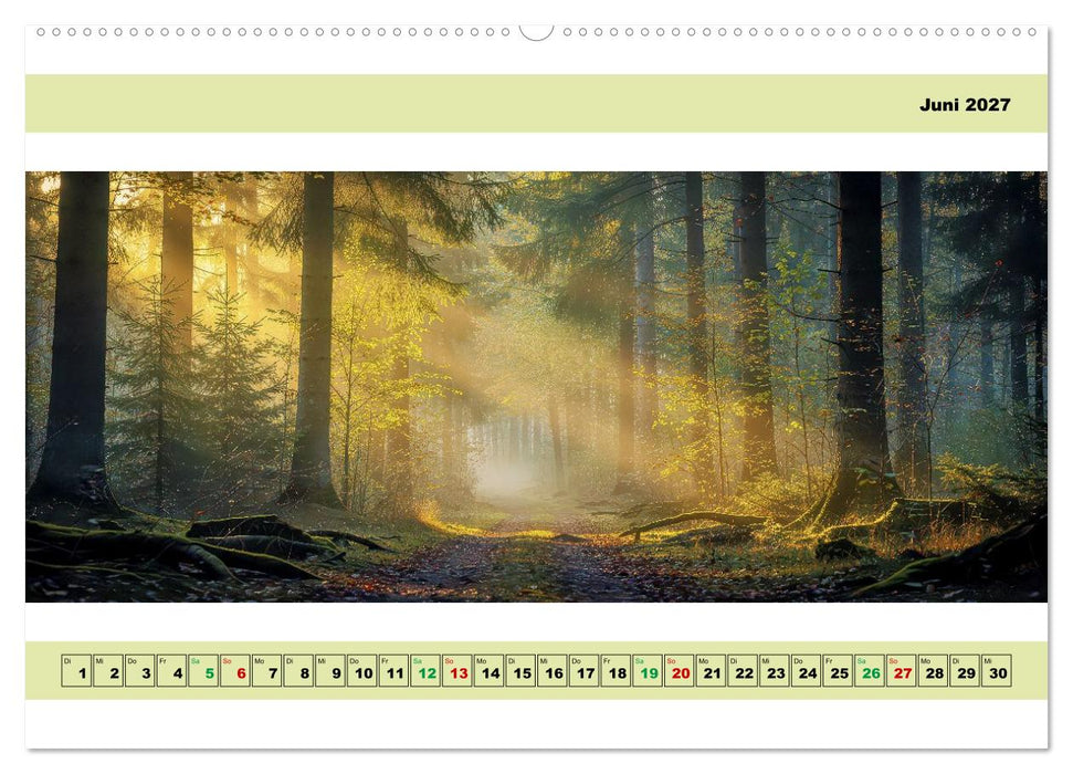 Ruhepol-Wald (CALVENDO Premium Wandkalender 2027)