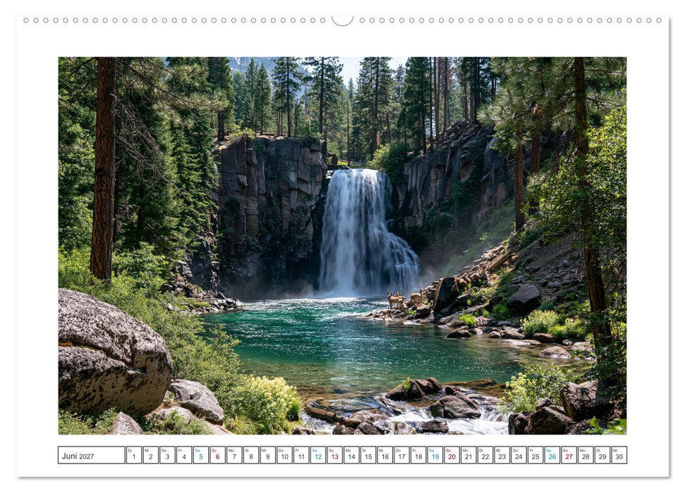 Mystische Naturwelten (CALVENDO Premium Wandkalender 2027)