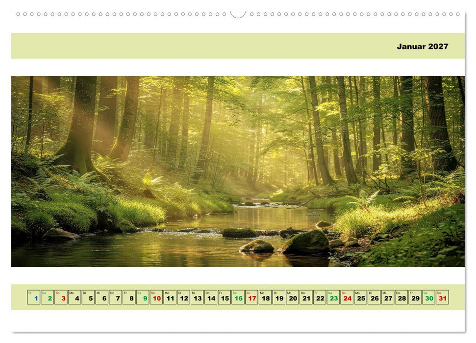 Ruhepol-Wald (CALVENDO Wandkalender 2027)